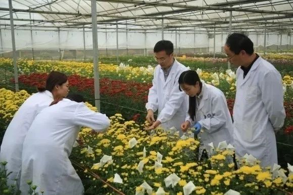 成果第一完成人陈发棣教授开展实践育人