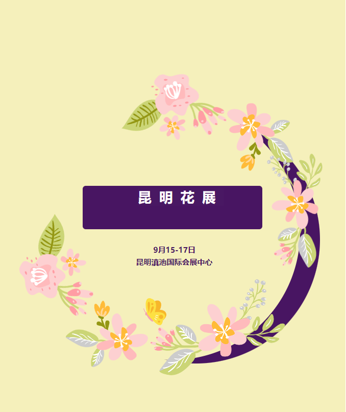 昆明花展1