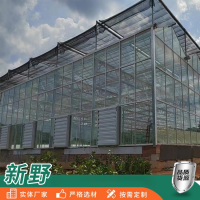 荷兰玻璃温室 文洛型智能温室建造 PC阳光板温室