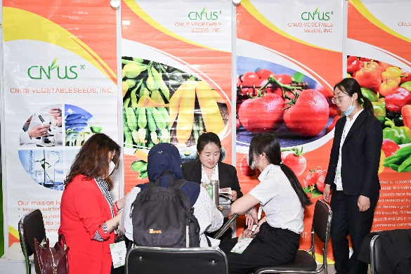 图片12