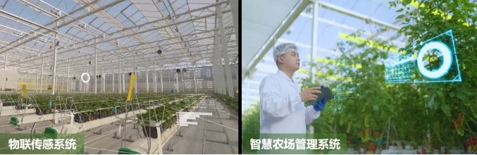 广东梅州、珠海携手打造的梅州市华发现代设施农业示范基地-智能控制系统