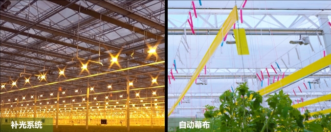 广东梅州、珠海携手打造的梅州市华发现代设施农业示范基地-环境调控系统
