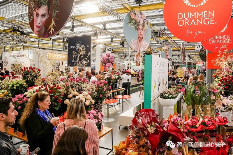 2024荷兰国际花卉贸易展览会