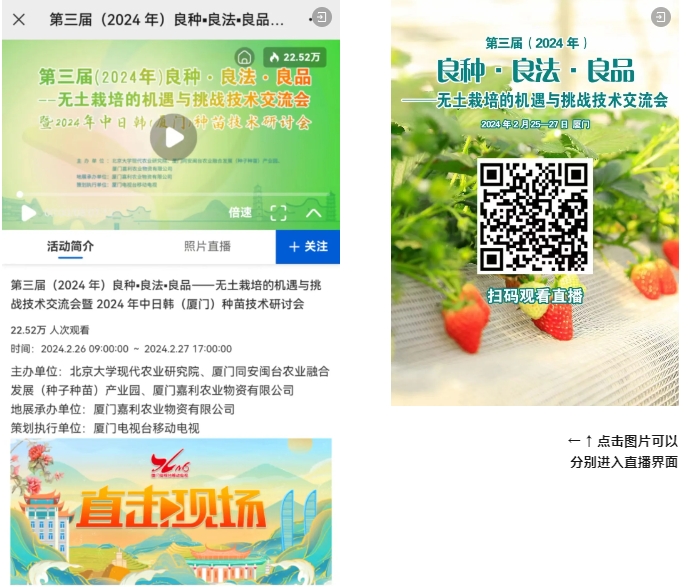 厦门百利4