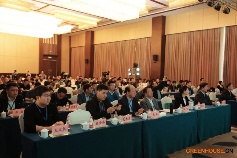 种苗大会2