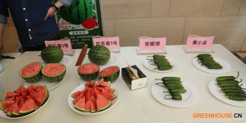 种苗大会展示2