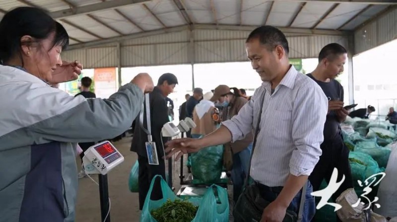 茶农正使用自己的惠农卡进行鲜叶交易