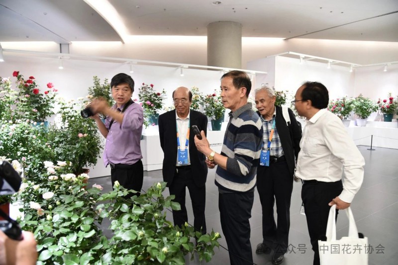 9评审组工作场景9