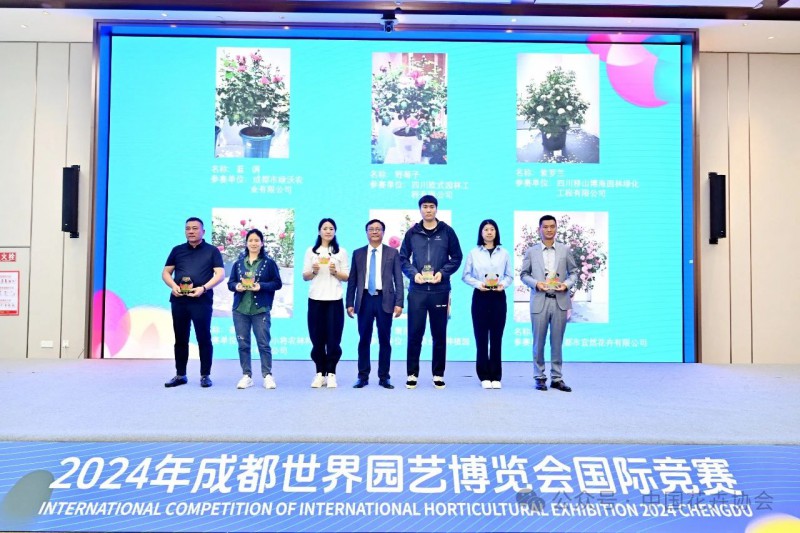 6为评审专家颁发证书6