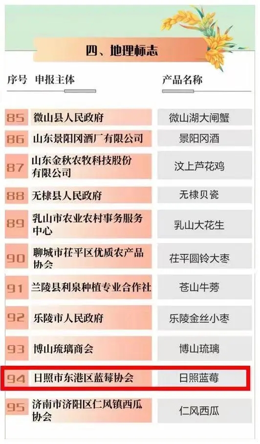 日照蓝莓1