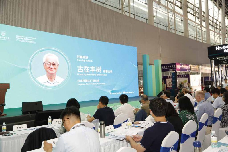 古在丰树