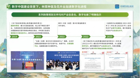 国家级苗木指数正引领各地花木指数矩阵式发展