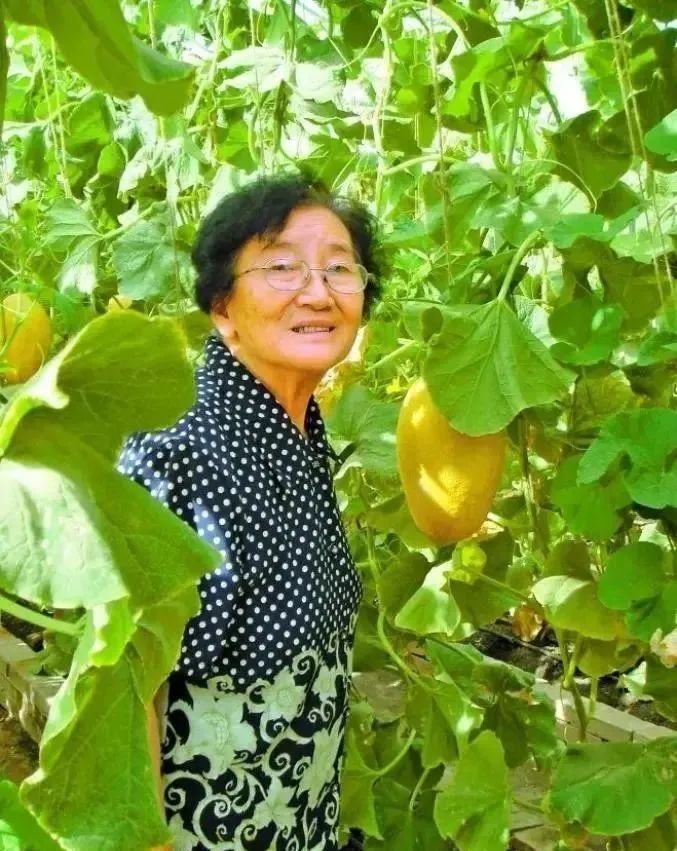 吴明珠