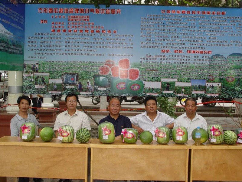 西瓜与气象3