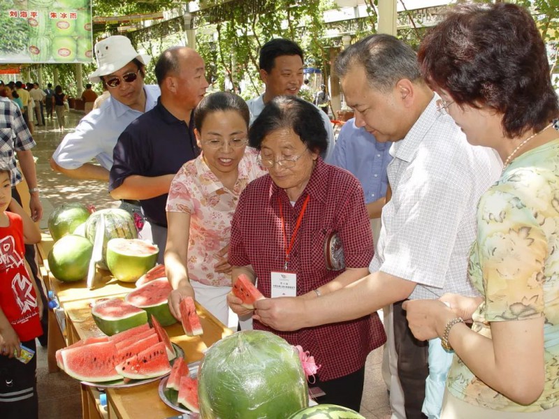 西瓜与气象2