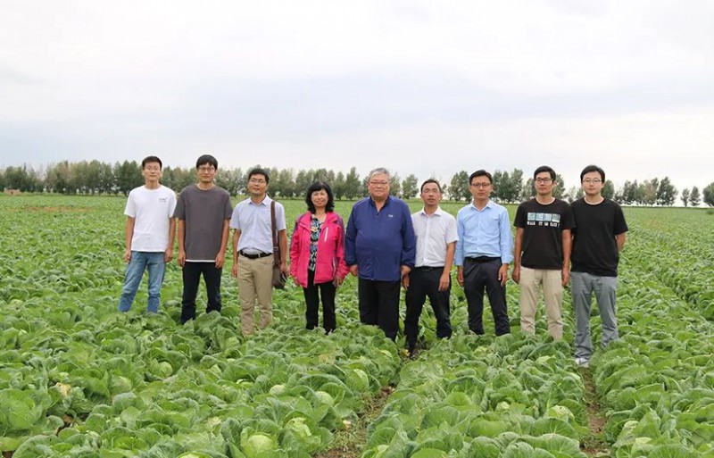 蔬菜产业专家团服务内蒙古冷凉蔬菜产业喜见成效2