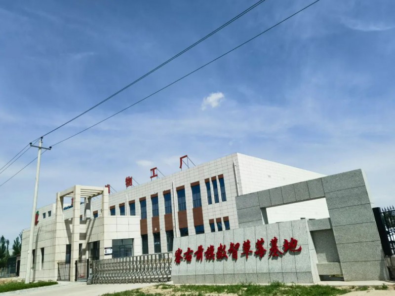 乌兰察布市察右前旗数智草莓基地1
