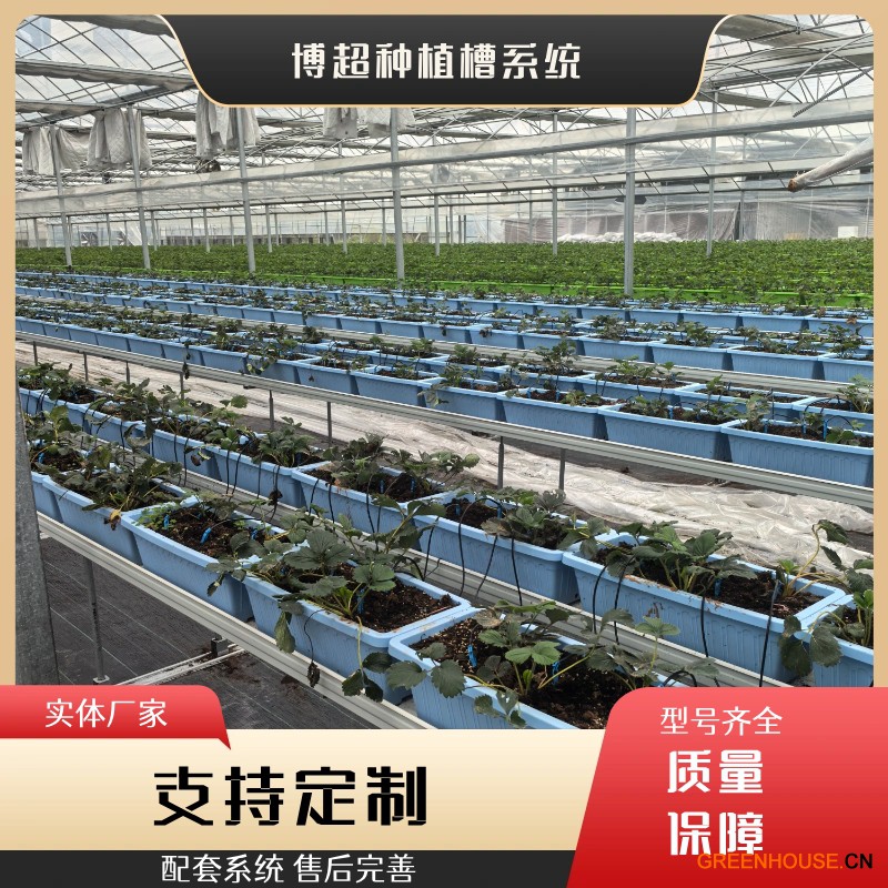 未命名方案(7)