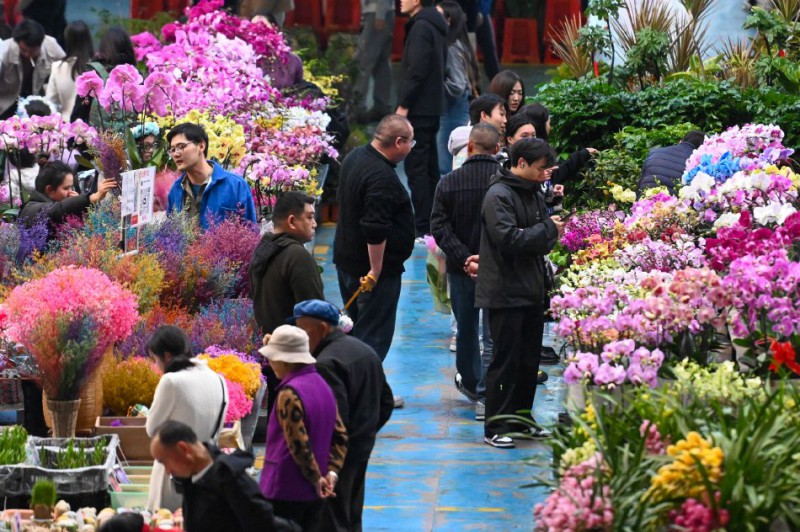 昆明斗南花市年宵花走俏1