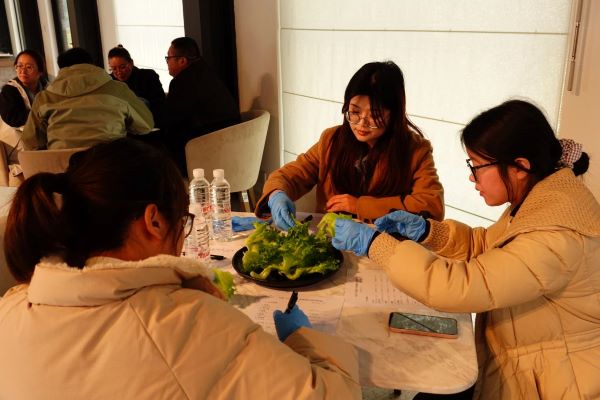 图说：大众评审在品尝生菜风味 采访对象提供