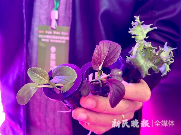图说：很多产品达到国际领先水平