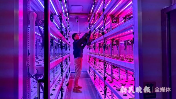 图说：选手在集装箱内操作