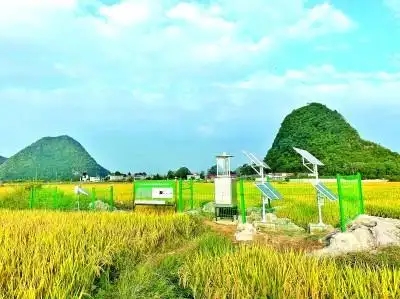贵阳贵安高峰镇龙宝村水稻田间的虫害绿色防控物联网系统.webp
