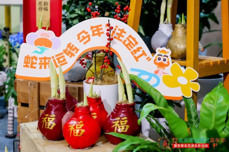 2025北京家庭园艺嘉年华5
