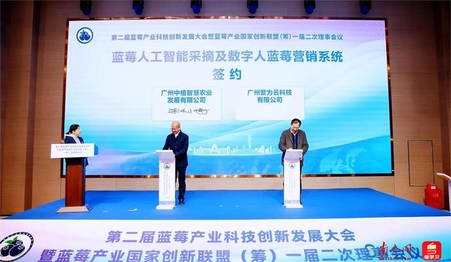 广东蓝莓产业2