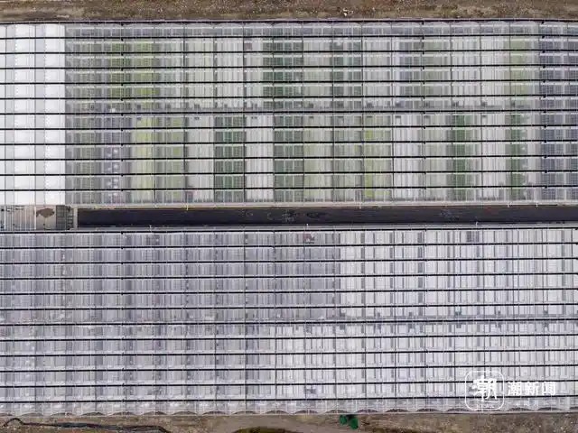 余姚陆埠镇无土栽培植物工厂项目0 俯瞰图