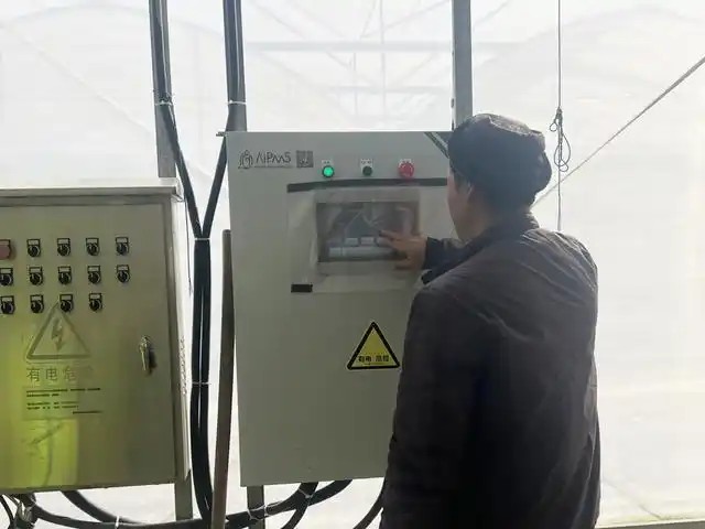 叮咚买菜廊下农场的大棚1