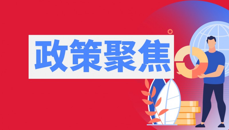 政策聚焦