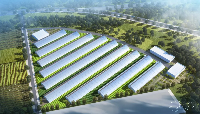 西安市农业数字化育苗项目开工202502