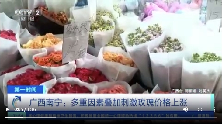 玫瑰