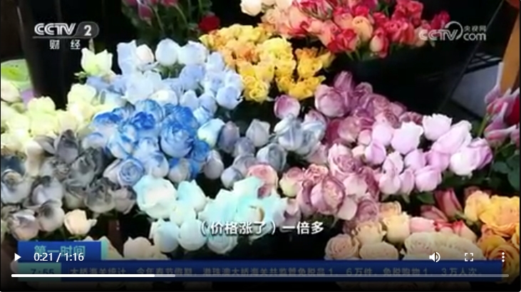 玫瑰3