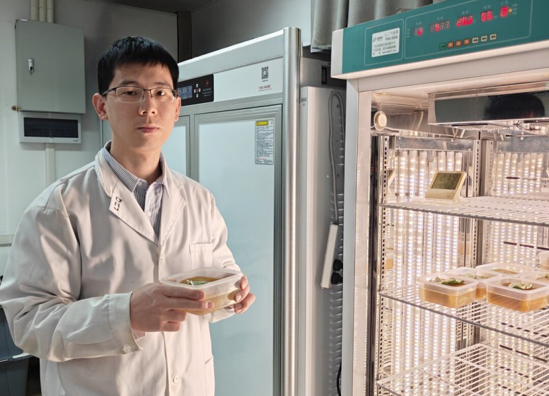 广东省农业科学院设施农业研究所副研究员谭德龙