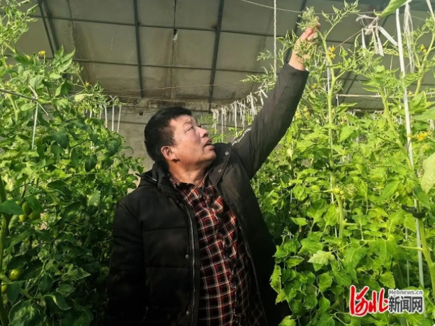 “冀东兵哥果菜新农人”姜尚生