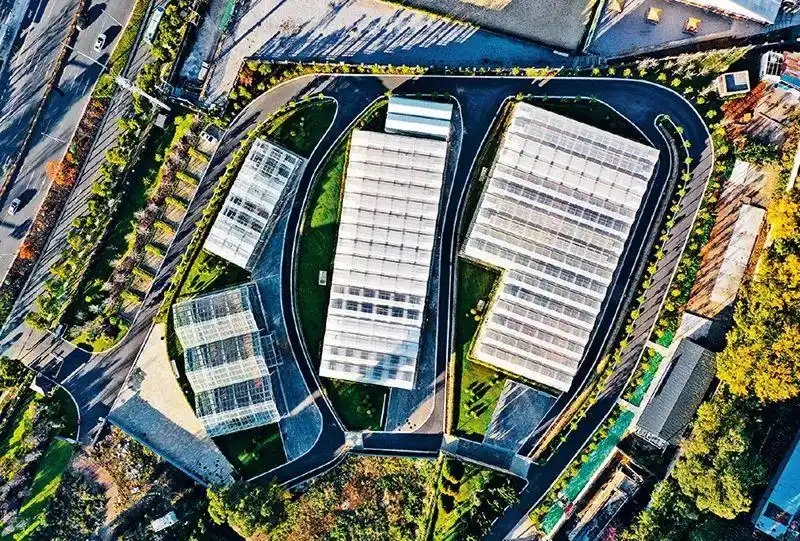 2024年12月17日拍摄的云南种子种业联合实验室温室大棚。 新华社记者 陈欣波 摄.webp