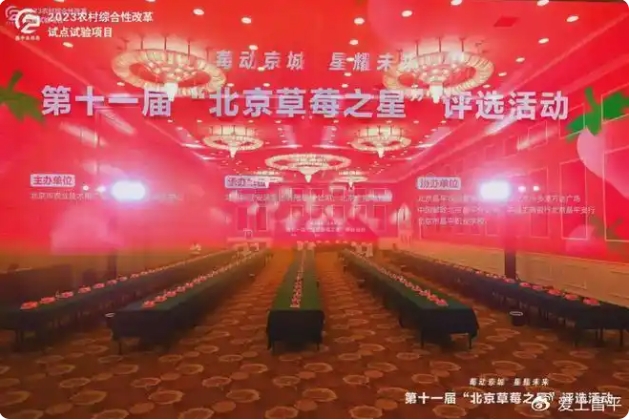 草莓擂台赛1