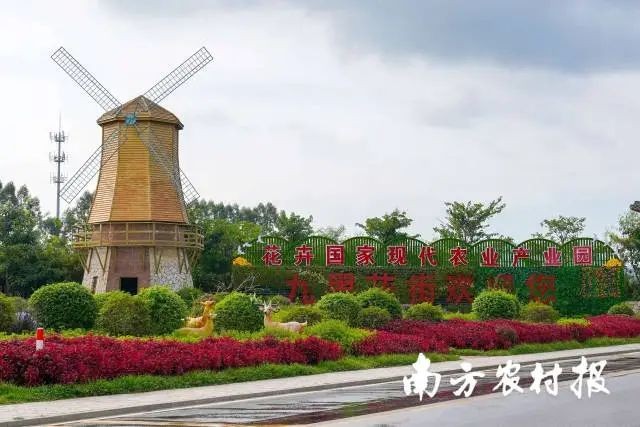 市从化区花卉国家现代农业产业园