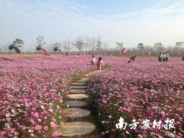 农旅融合发展