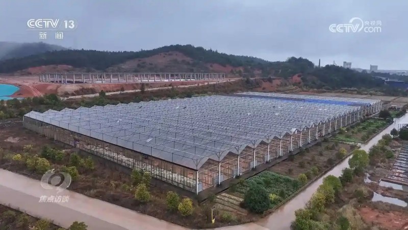 焦点访谈一号文件1.webp