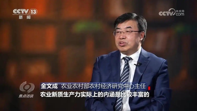 焦点访谈一号文件4.webp