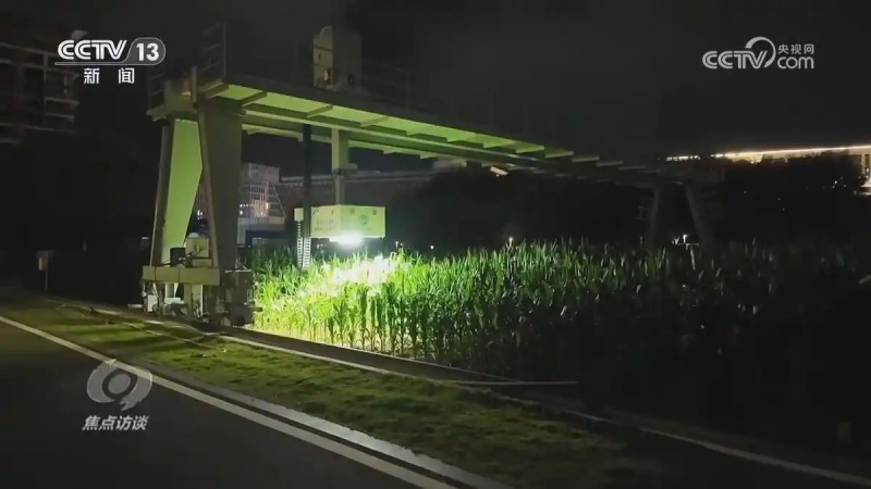 焦点访谈一号文件6.webp