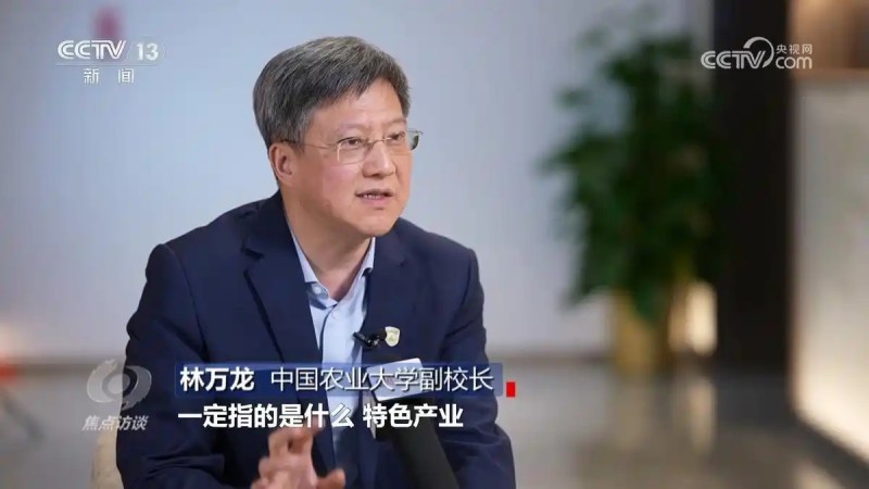 焦点访谈一号文件10.webp