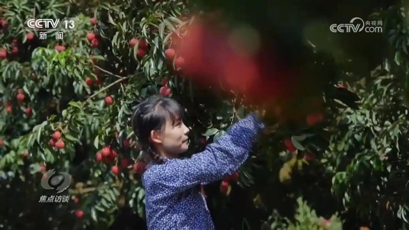 焦点访谈一号文件11.webp