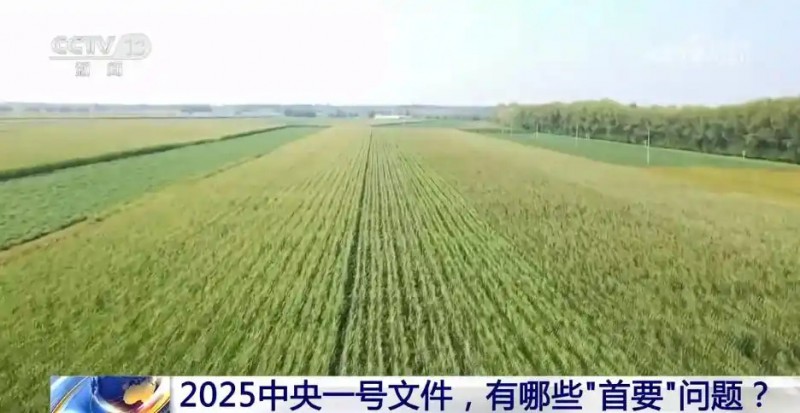胡向东受访00.webp