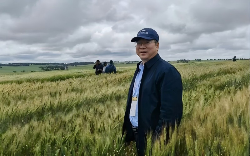 国家小麦产业技术体系首席科学家、中国农科院作科所党委书记刘录祥(1)
