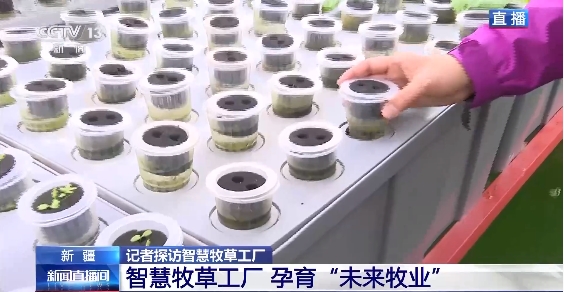 新疆“智慧牧草工厂”8