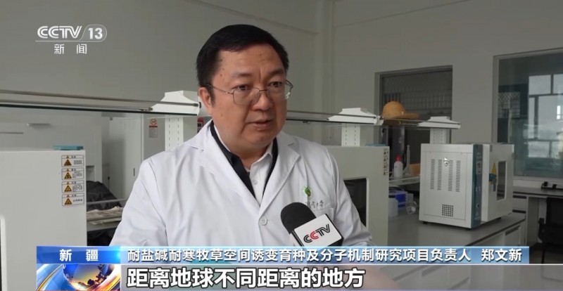 郑文新